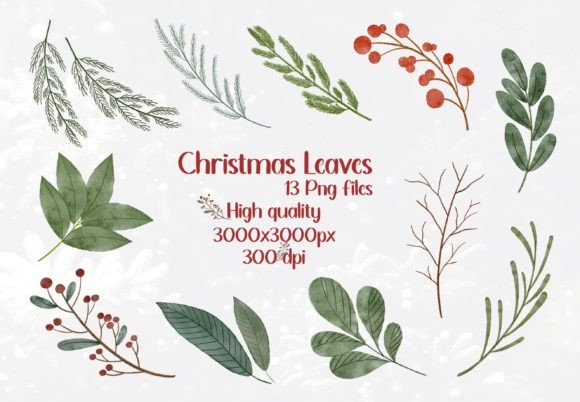 Christmas Leaves Watercolor Clipart for Editorial and Web Design